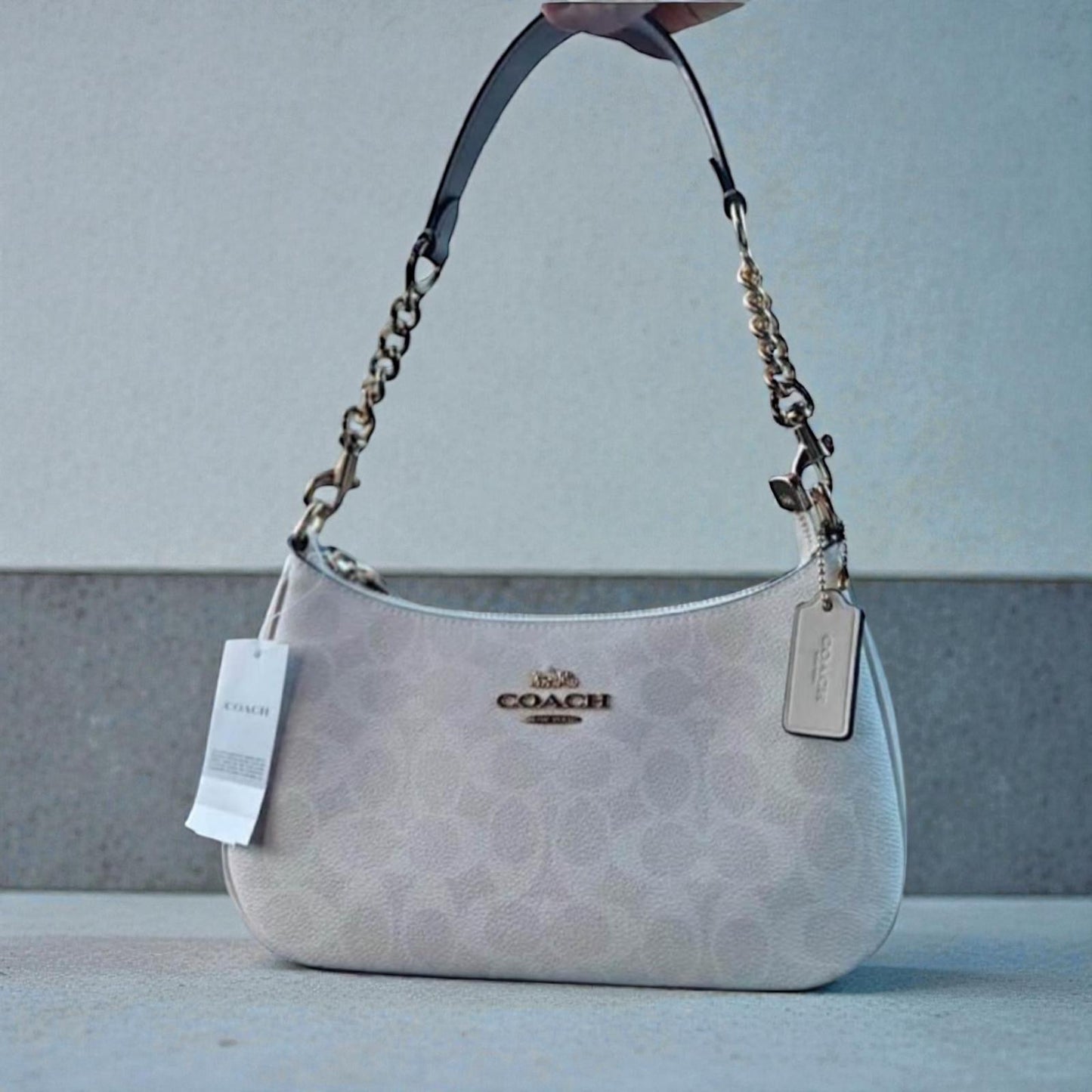 Teri Bag Shoulder C’ach